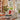 Summer 2025 Interior Trends: Organic Modernism Meets Refined Comfort