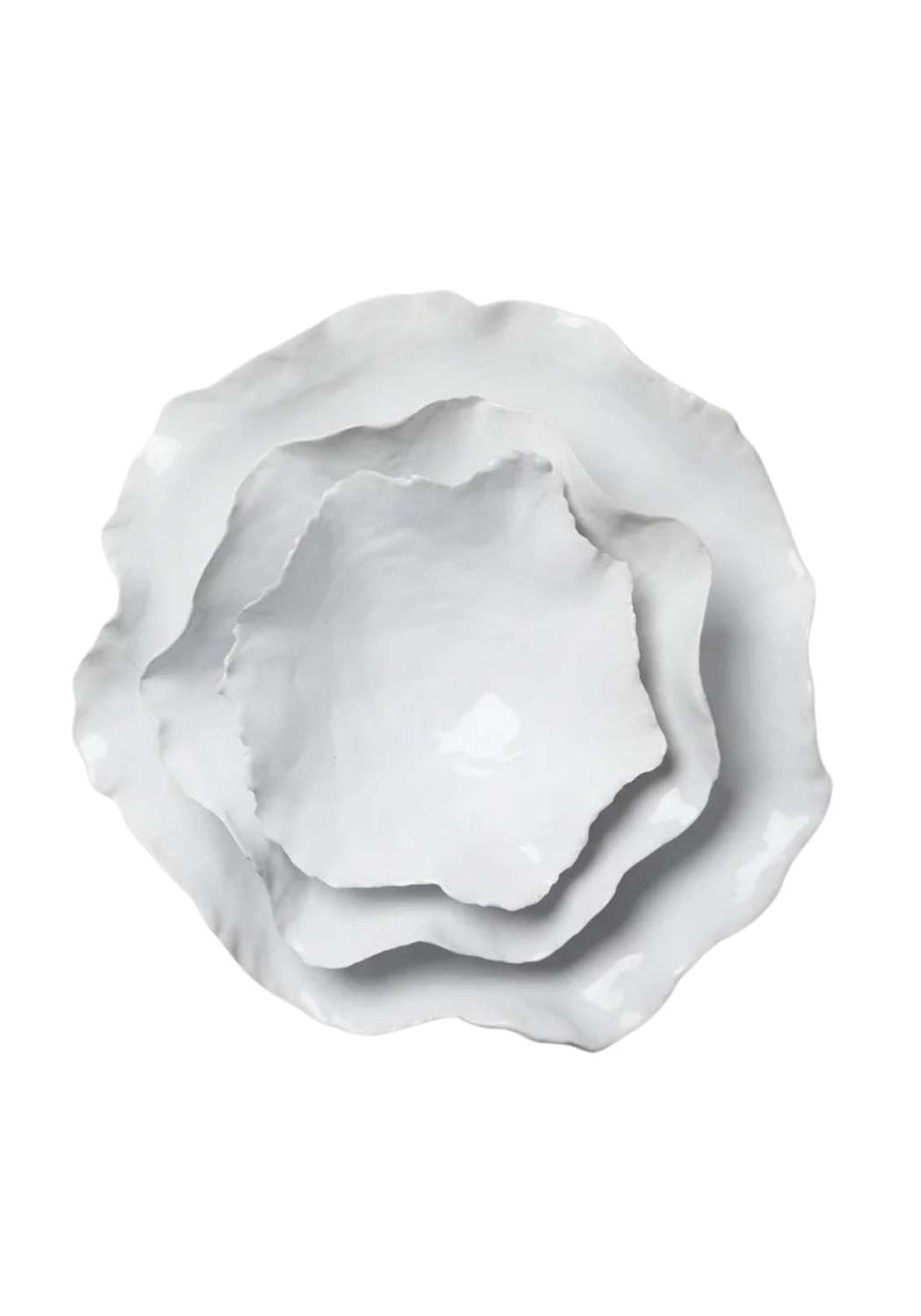 Oyster Medium