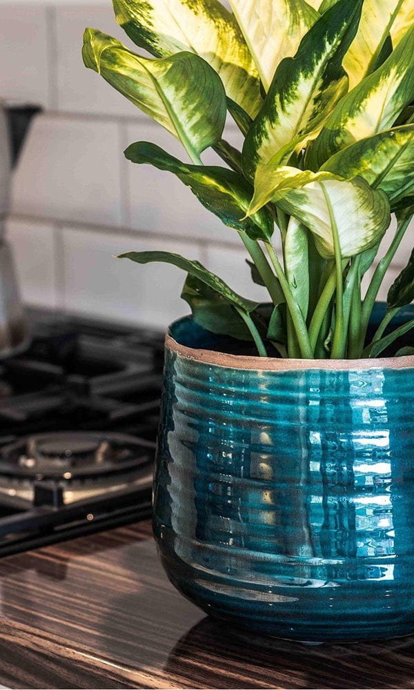 Como Hand Finished Pot 17 - 21cm Diameter - Casa by Josephine Jenno