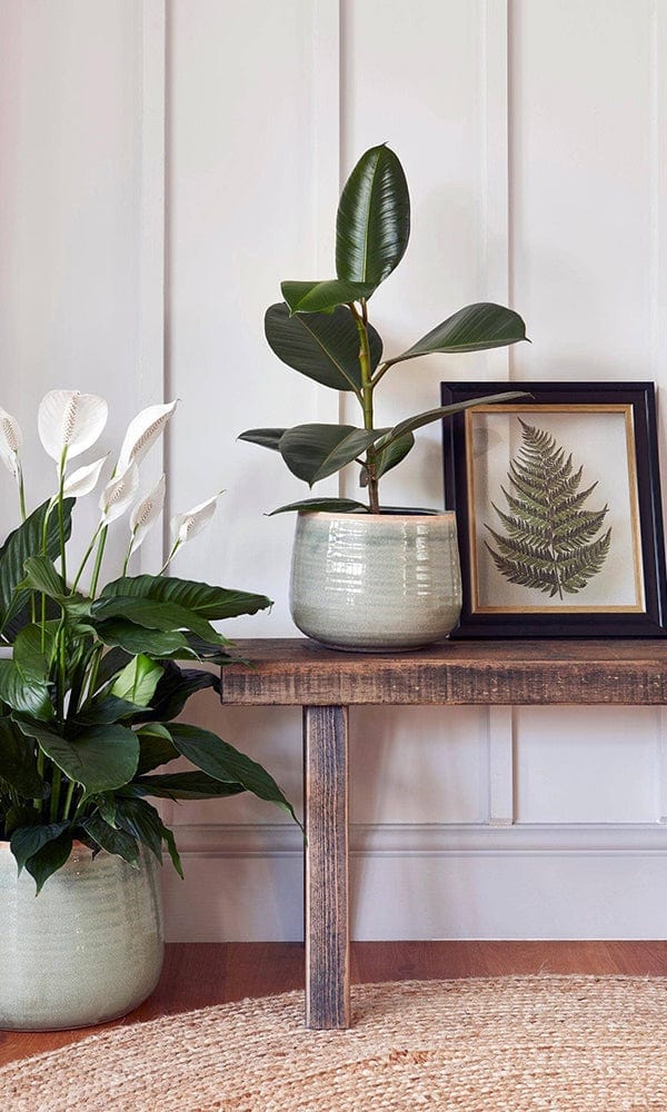 Como Hand Finished Pot 17 - 21cm Diameter - Casa by Josephine Jenno