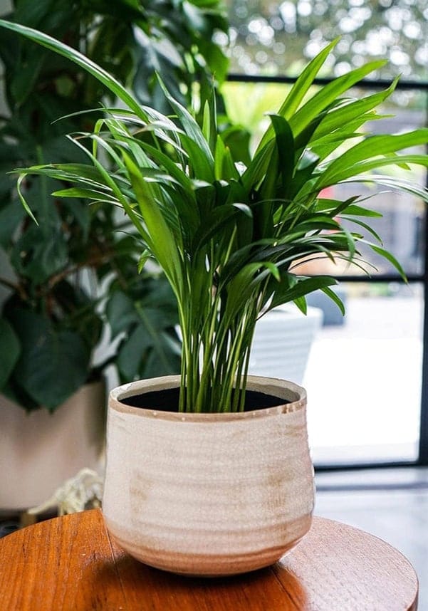 Como Hand Finished Pot 17 - 21cm Diameter - Casa by Josephine Jenno