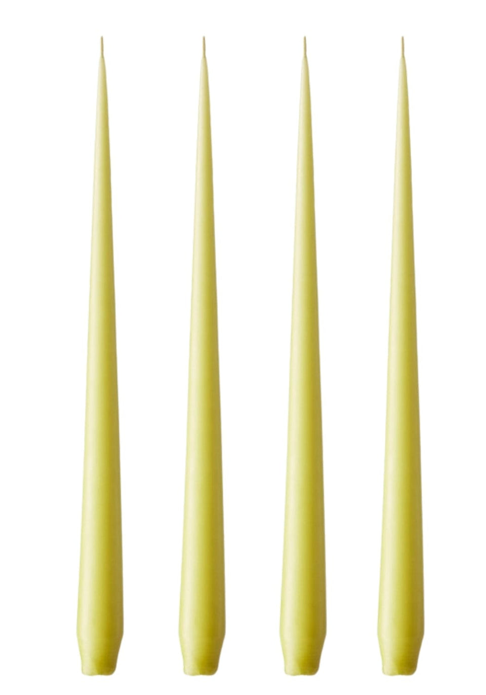 Olivia's Wasabi Large Taper Candles - Ester & Erik - Casa by Josephine Jenno
