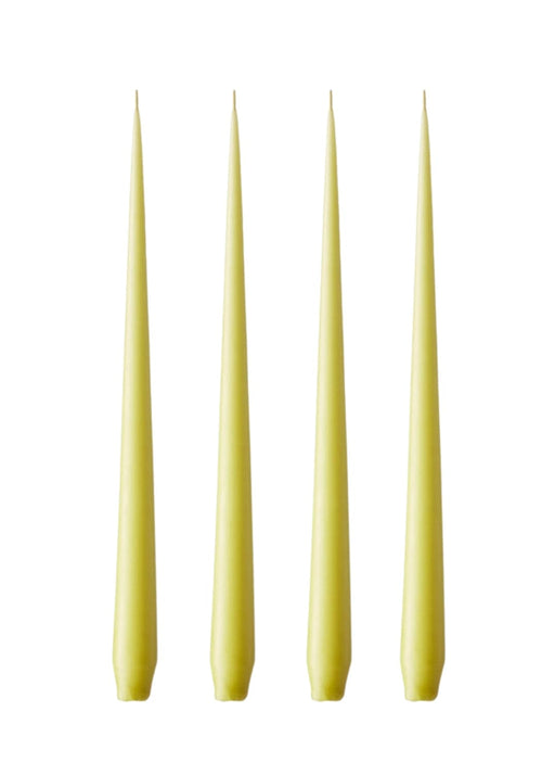 Olivia's Wasabi Taper Medium Candles