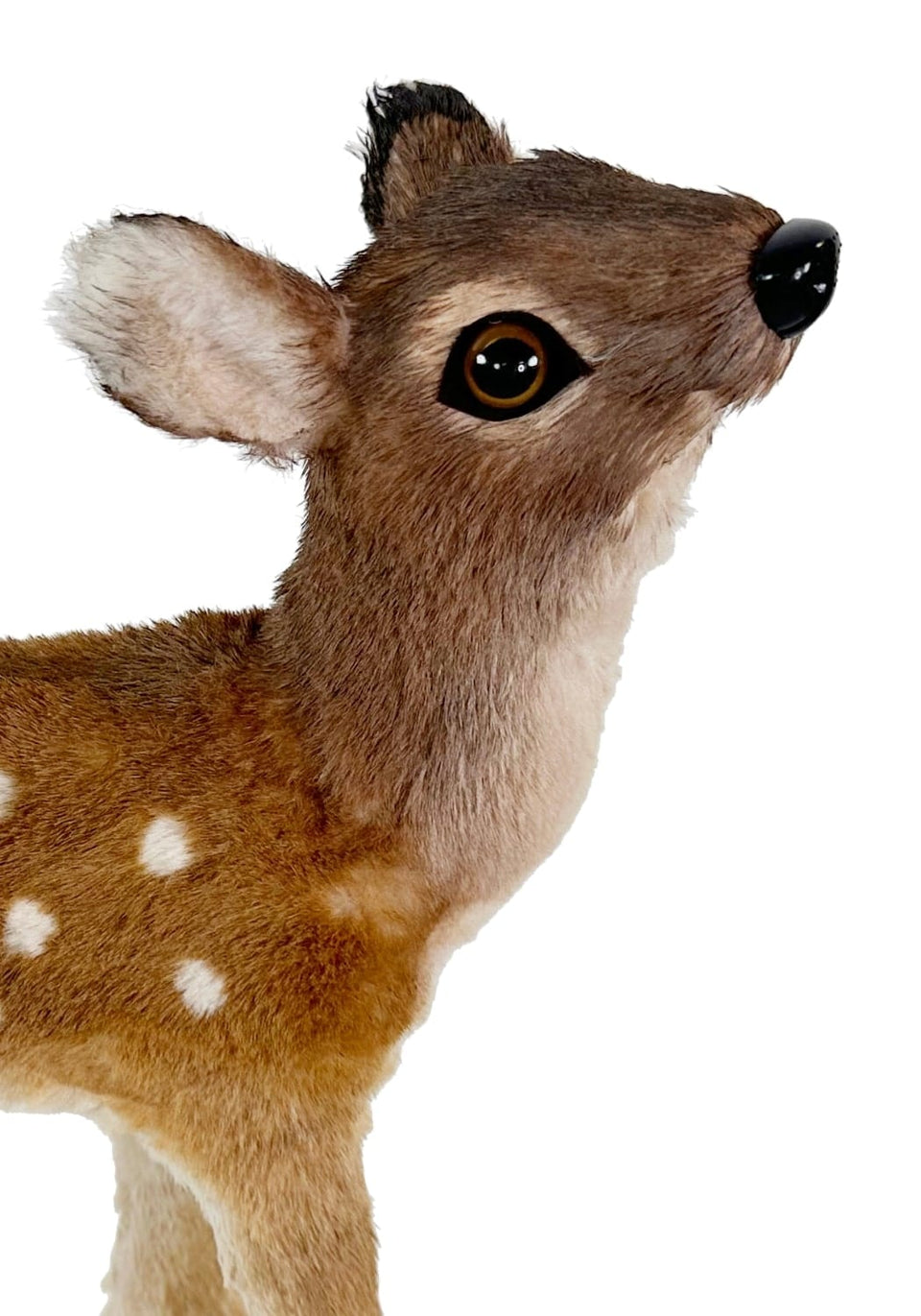 Bambi's Sophisticated Cousin: Spotted Deer - A pair