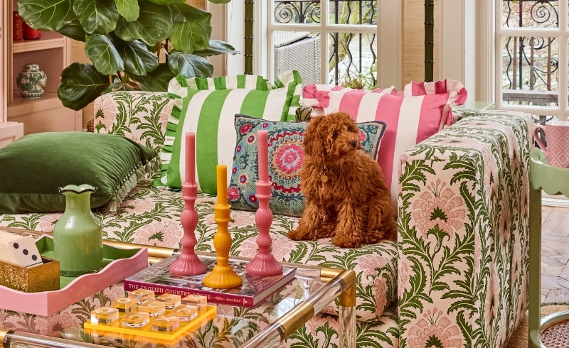 Casa Chichi Collection