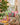 Casa Muse Interior Inspiration - Casa by Josephine Jenno