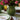 Kitchen Garden Inspired Homeware