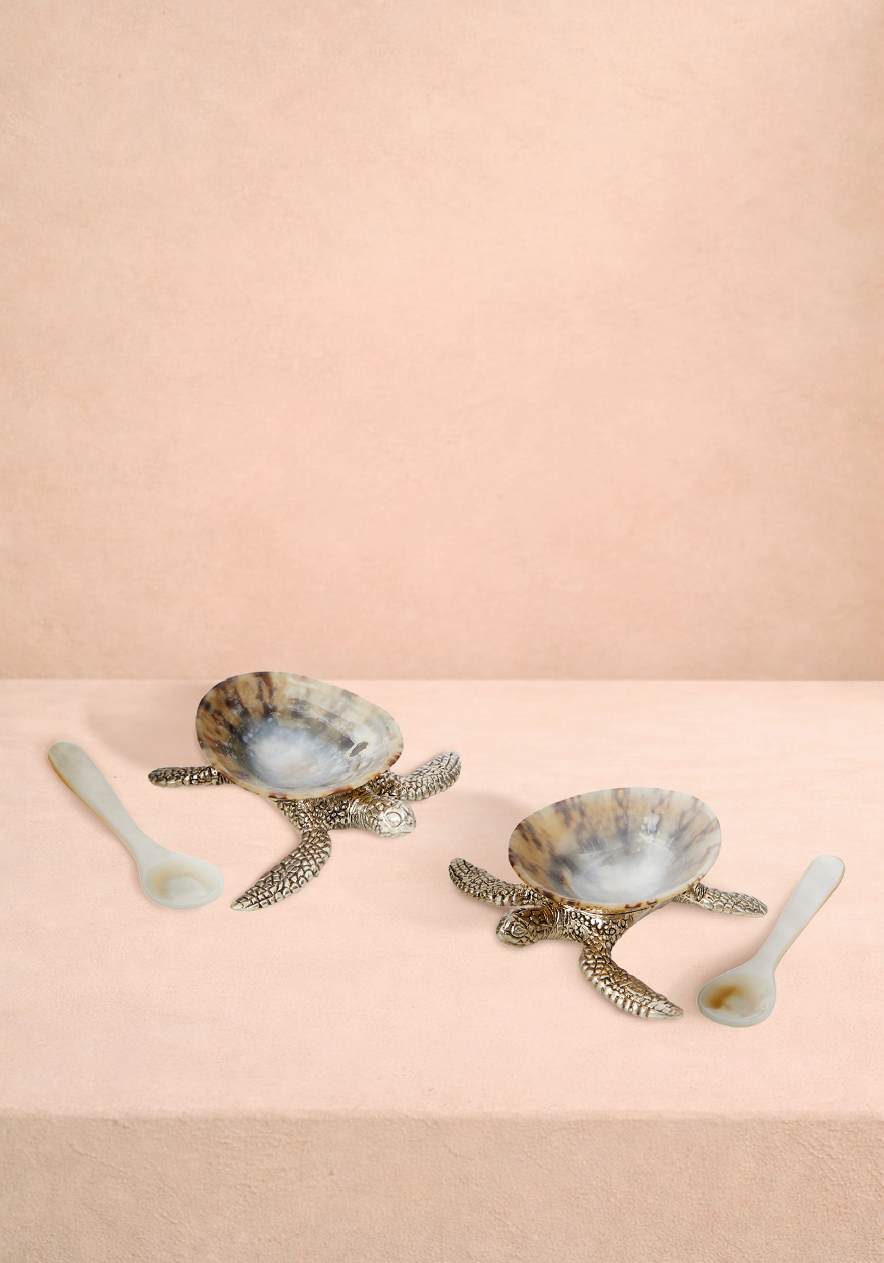 New Born Turtle Salt Cellar and Pepper Pots with Spoons - Pair