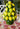 An Italian Mid - Century Ceramic Lemon Basket - Casa by Josephine Jenno
