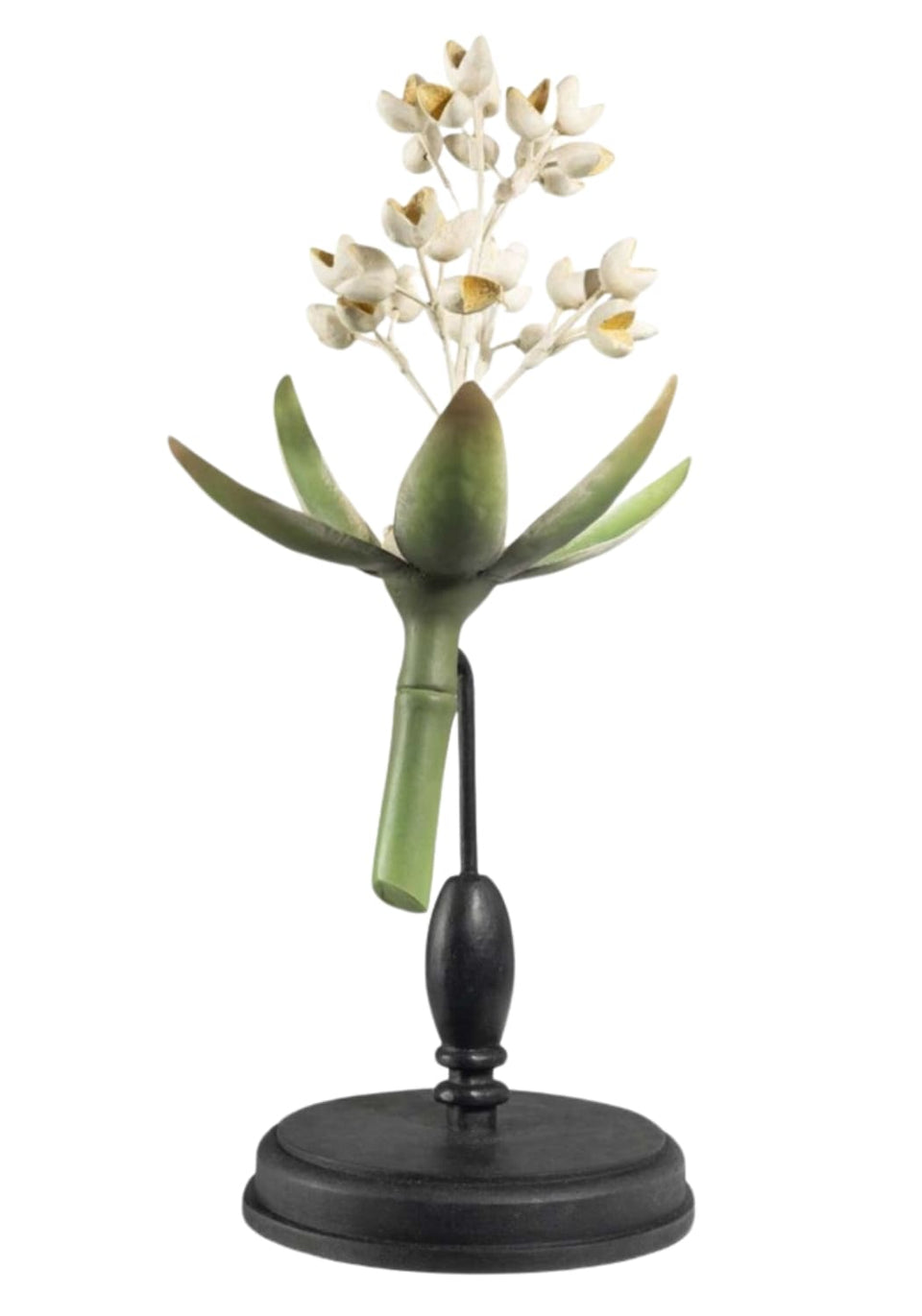 Blossoming Bud Botanical Model - Casa by Josephine Jenno