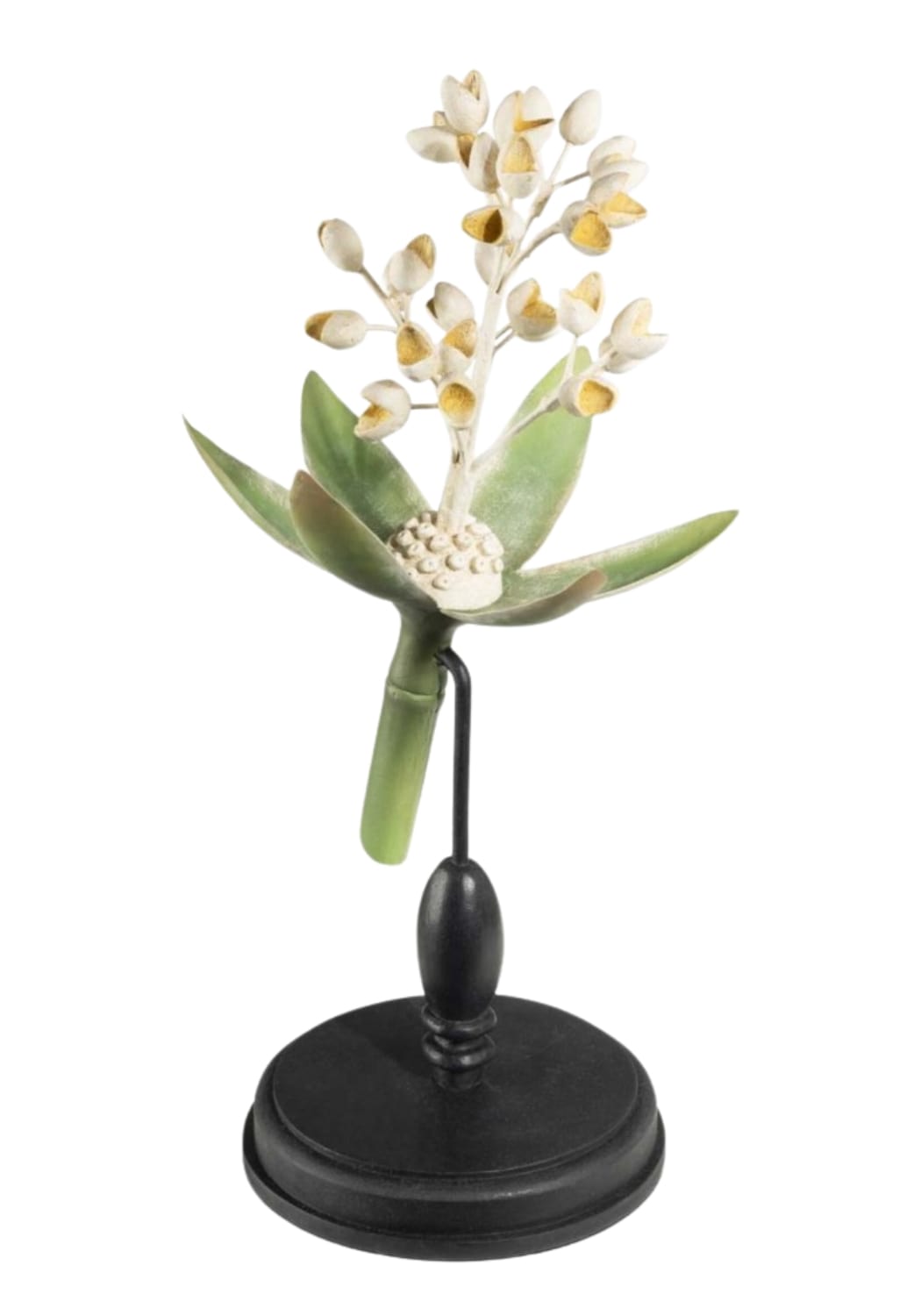 Blossoming Bud Botanical Model - Casa by Josephine Jenno