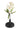 Blossoming Bud Botanical Model - Casa by Josephine Jenno