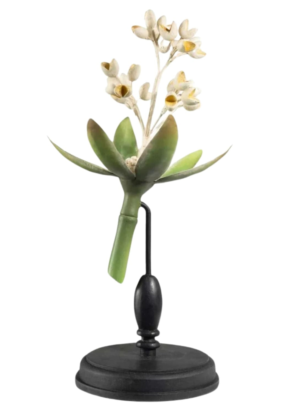 Blossoming Bud Botanical Model - Casa by Josephine Jenno