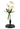Blossoming Bud Botanical Model - Casa by Josephine Jenno