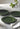 Bobble Side Plates Green - Set of 4 - Casa by Josephine Jenno