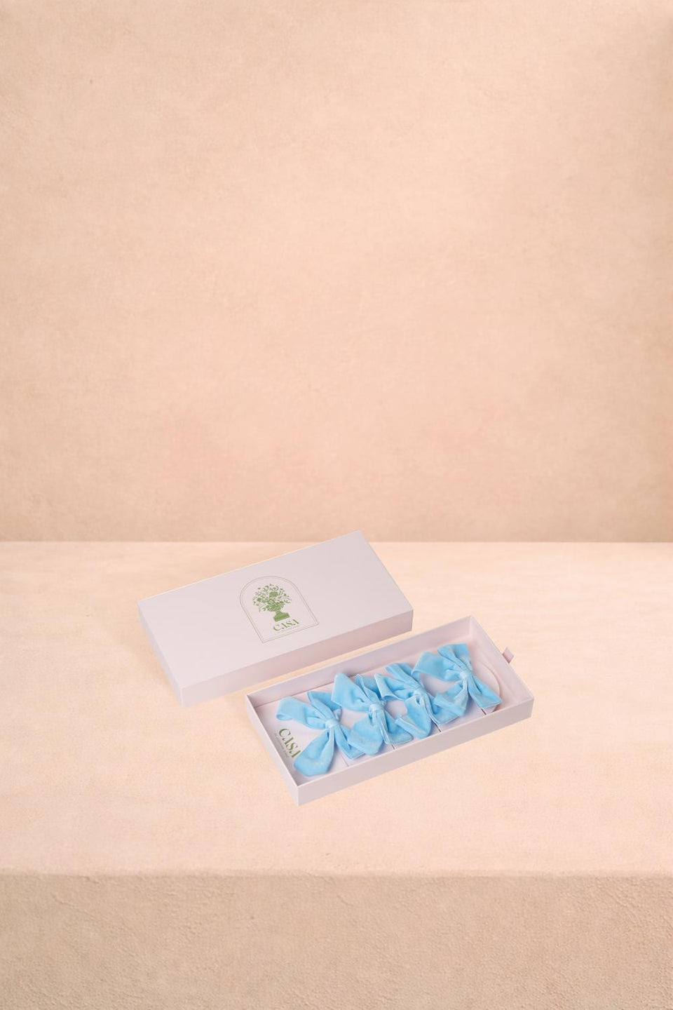 Powder Blue Velvet Bow Collection