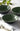 Bowl Bobble Pasta Bowls Green - Set of 4