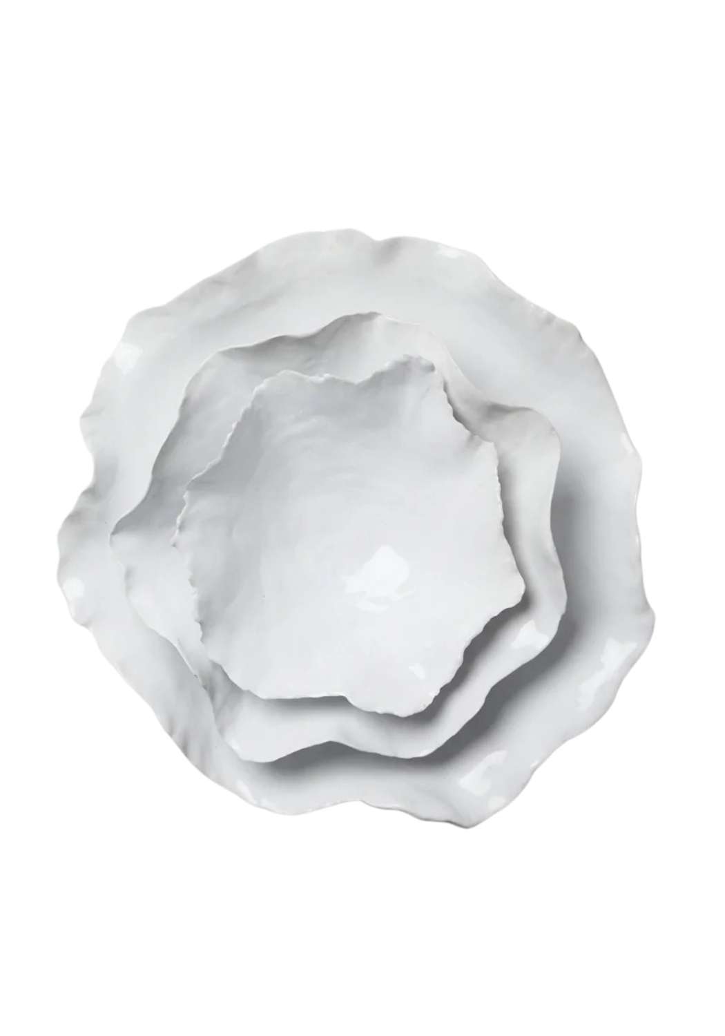 Oyster Medium