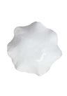 Oyster Medium