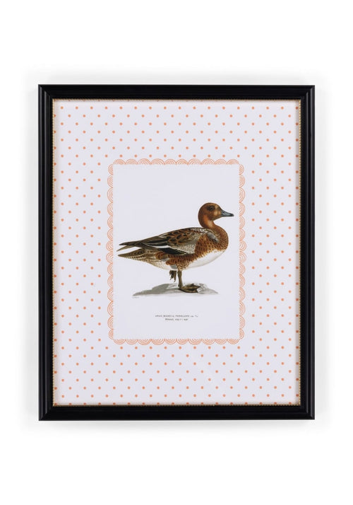 Duck I Framed Print – The Most Dashing Duck You'll Ever Hang on a Wall