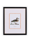 Duck II Framed Print - Utterly Adorable Wall Art