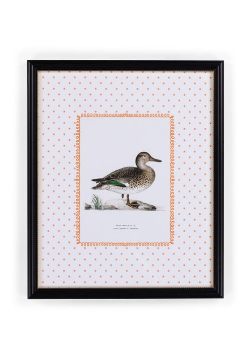 Duck II Framed Print - Utterly Adorable Wall Art