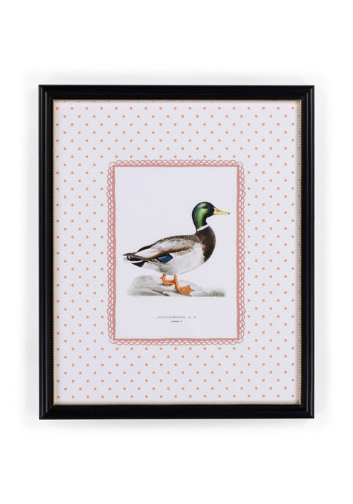 Feather and Grace Duck Print III