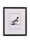 Duck IV Framed Print- The Prettiest By Far