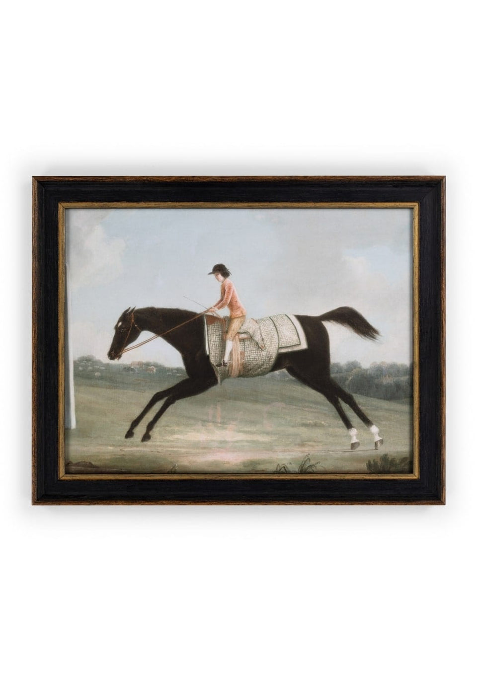 Camelot's Racing Day Glory - Casa by Josephine Jenno