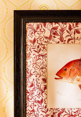 Camelot's Vintage Fish Study I - Casa by Josephine Jenno