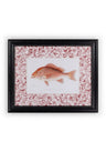Fish Study I  Vintage Character for Every Corner