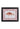 Camelot's Vintage Fish Study I - Casa by Josephine Jenno
