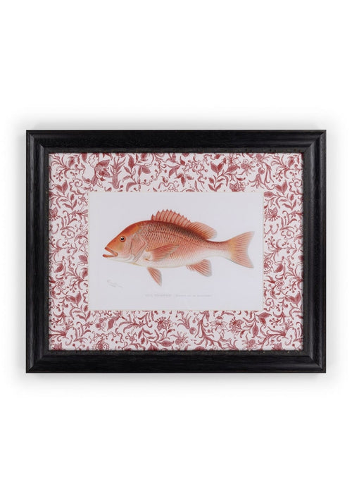 Fish Study I – Vintage Character for Every Corner