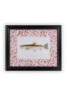 Fish II Framed Print- A Quiet Classic with Personality
