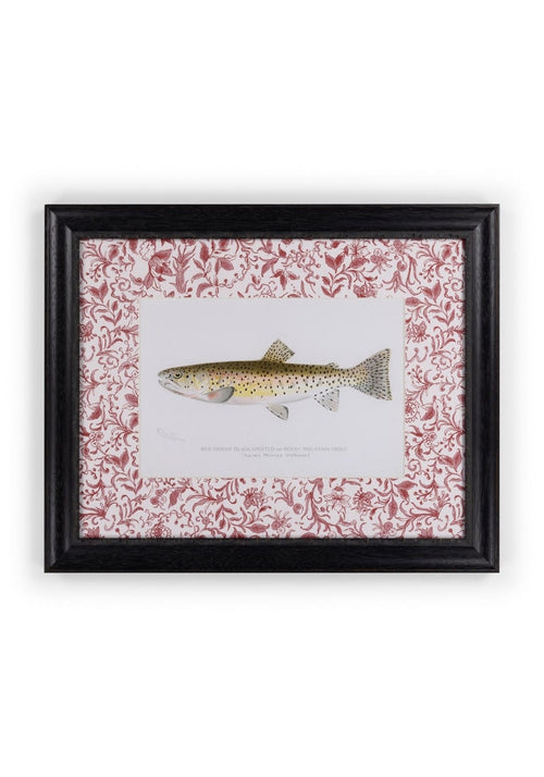 Fish II Framed Print – A Quiet Classic with Personality