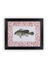 Fish III Framed Print Noble Vintage for the English Home
