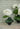 Camilla Emerald Twist Vase - Casa by Josephine Jenno