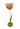 Dahlia Sunset Tulip Candleholder