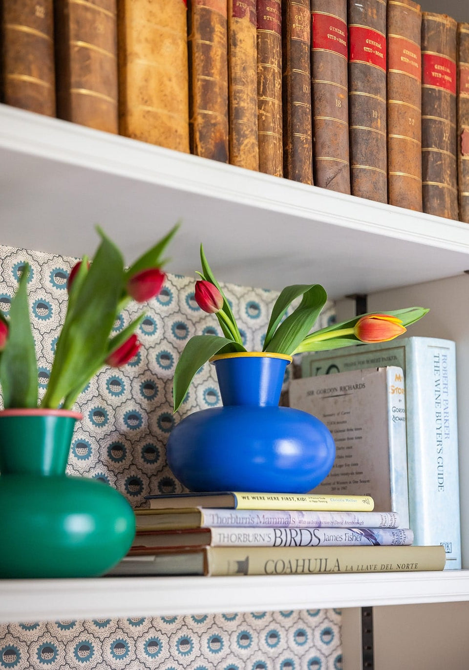 Color Fabulous Genie Shaped Bottle Vase - Casa by Josephine Jenno