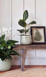 Como Hand Finished Pot 17 - 21cm Diameter - Casa by Josephine Jenno