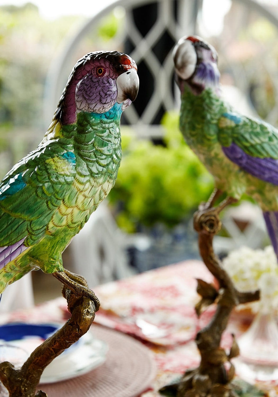 Copacabana The Hottest Bird North of Havana - Casa by Josephine Jenno