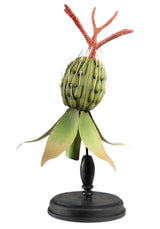 Dahlia Exotic Seedpod - Casa by Josephine Jenno