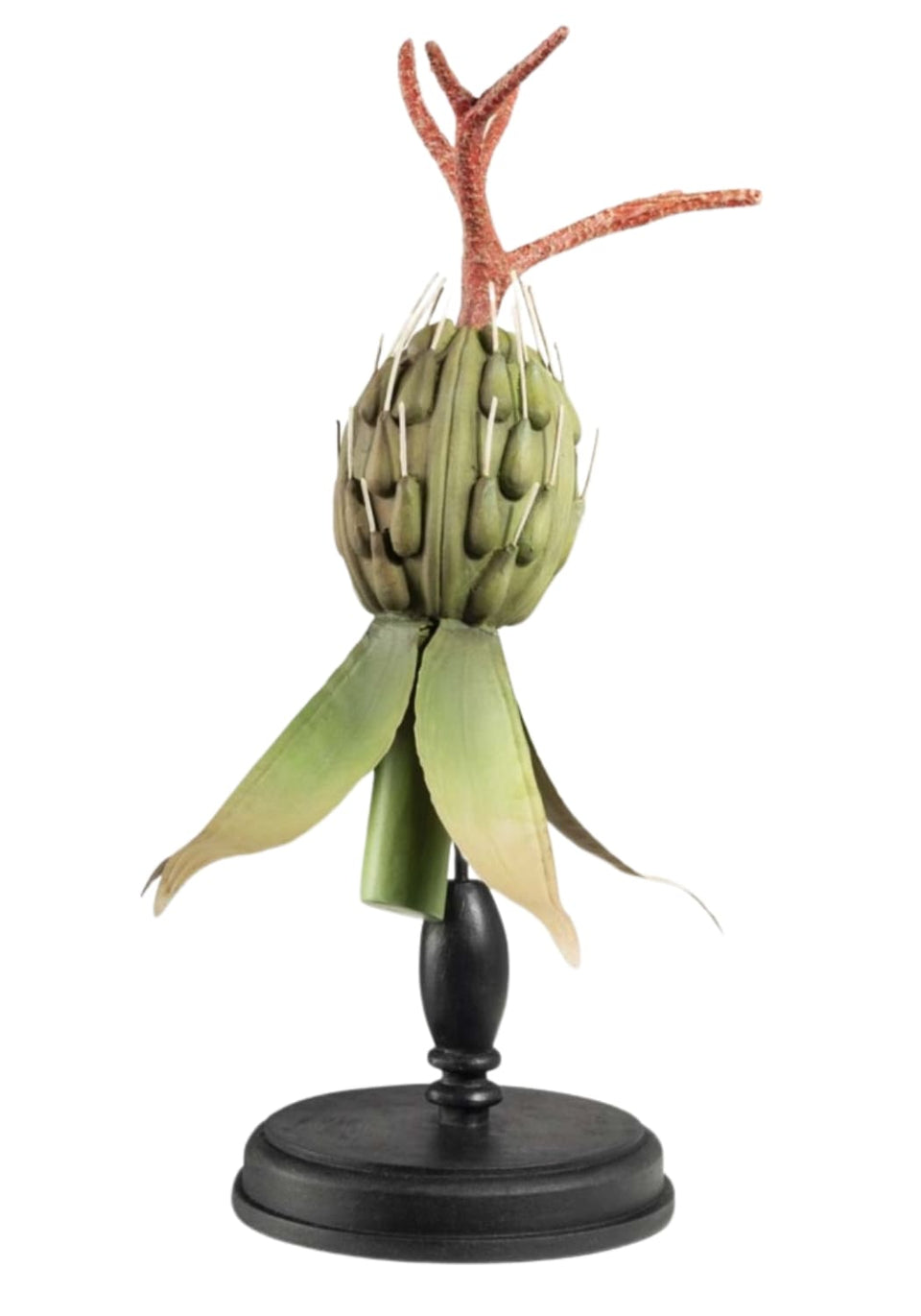 Dahlia Exotic Seedpod - Casa by Josephine Jenno