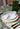 Green Apple Lace Dinner Plates - Set of 4 - Casa by Josephine Jenno