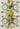 Green Blossom Rectangular Placemats - Set of 4 - Casa by Josephine Jenno