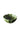 Green Scallop Ceramic Dip Bowls x 3 - Casa by Josephine Jenno
