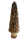 Holly Evergreen Tree