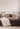 Mulberry Velvet Cushion Cover for Casa by JJ - Casa by Josephine Jenno