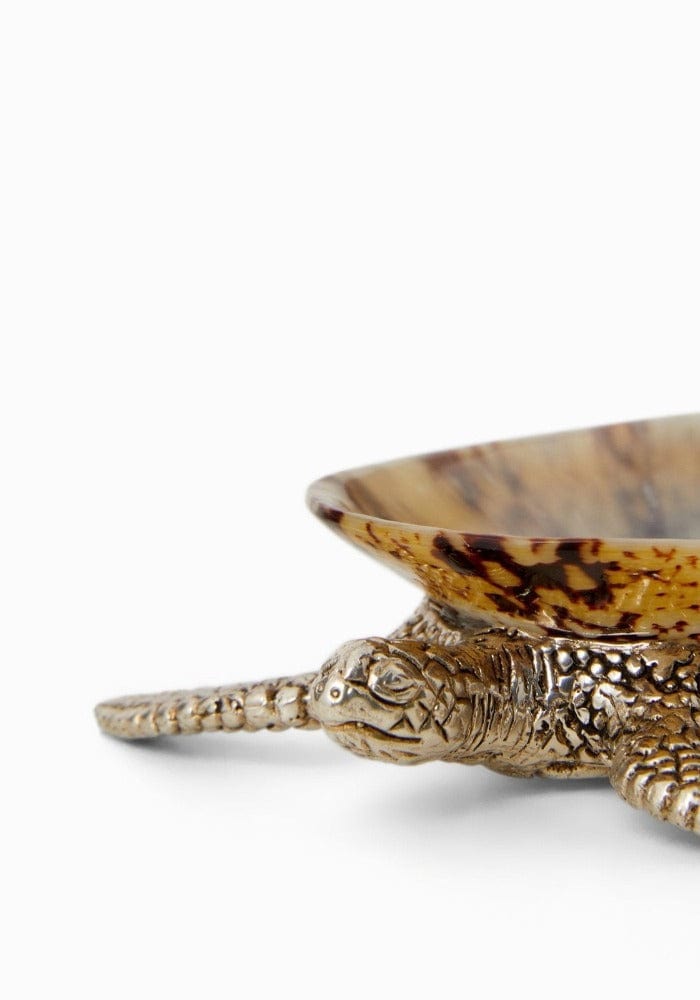 New Born Turtle Salt Cellar and Pepper Pots with Spoons - Pair - Casa by Josephine Jenno