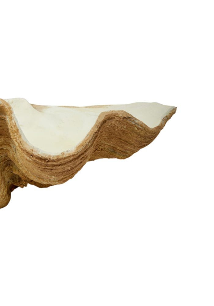 Odyssey Shell Centerpiece - Casa by Josephine Jenno